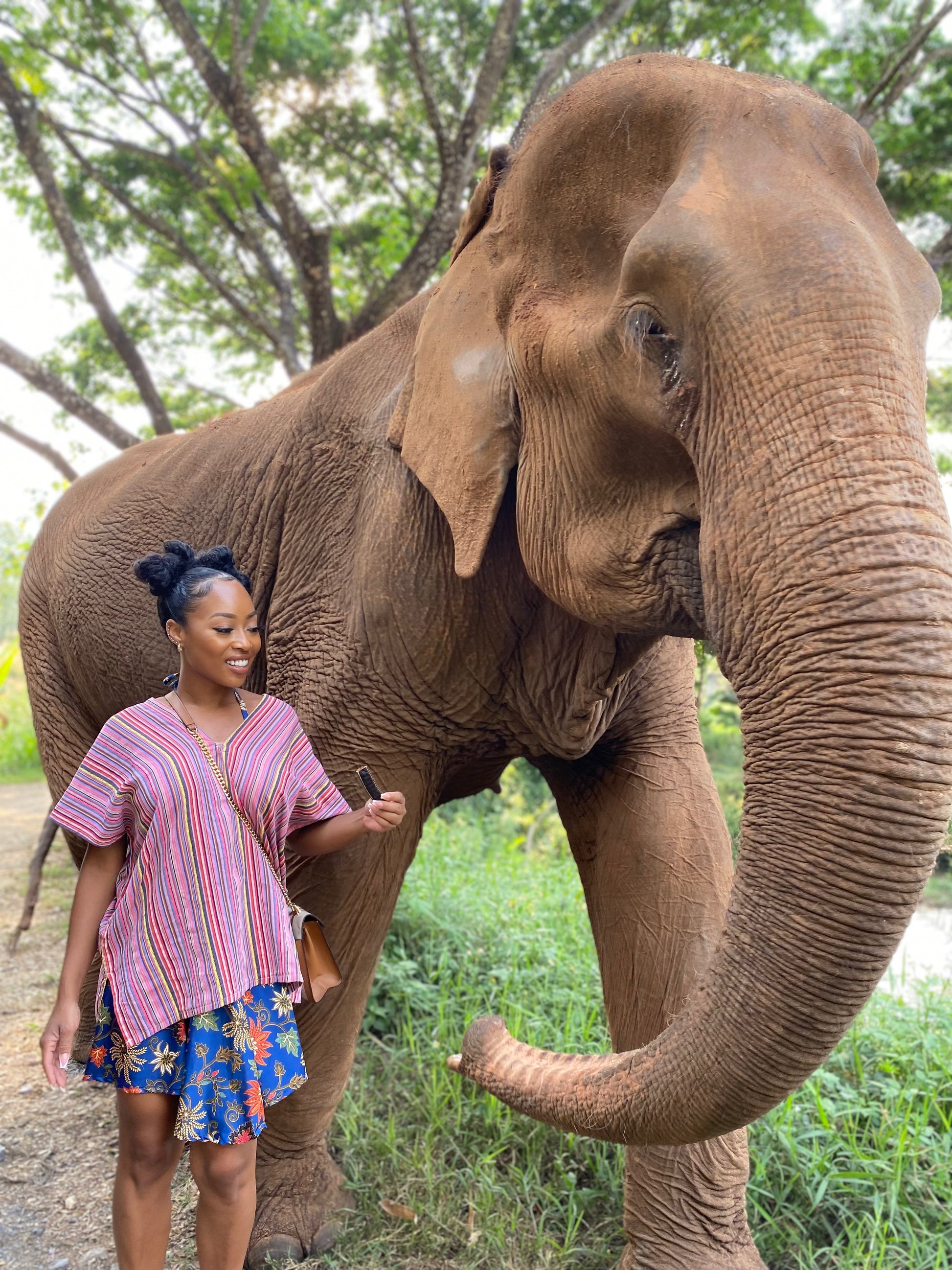 Solo Travel/Bali Consultation